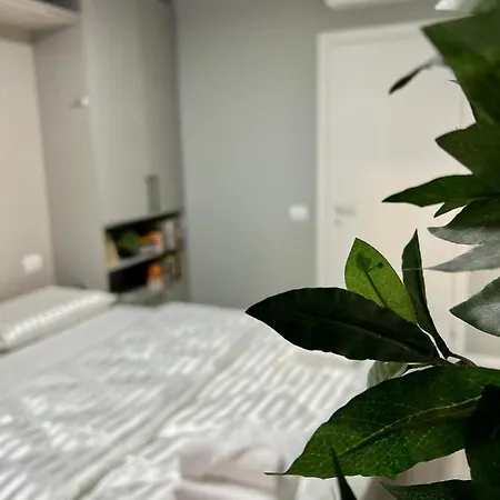 Apartmán Amla Downtown Elegance